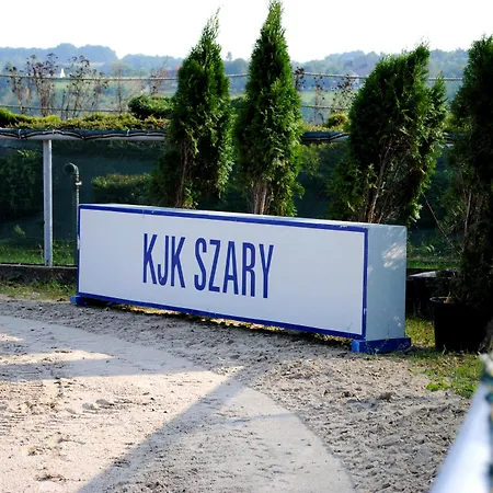 Szary 3*