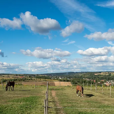 Szary 3* Michalowice (Lesser Poland)