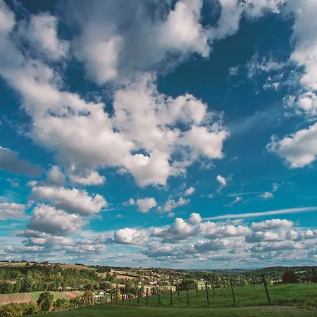 Hotel Szary Michalowice (Lesser Poland)