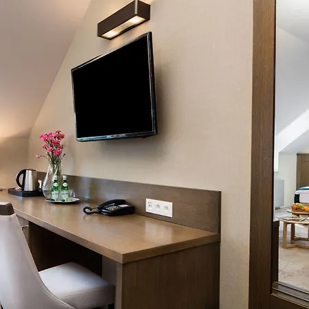 Hotel Szary
